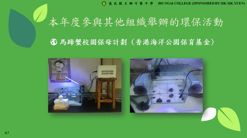 馬蹄蟹校園保母計劃 (香港海洋公園保育基金)
