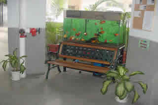 Aquarium